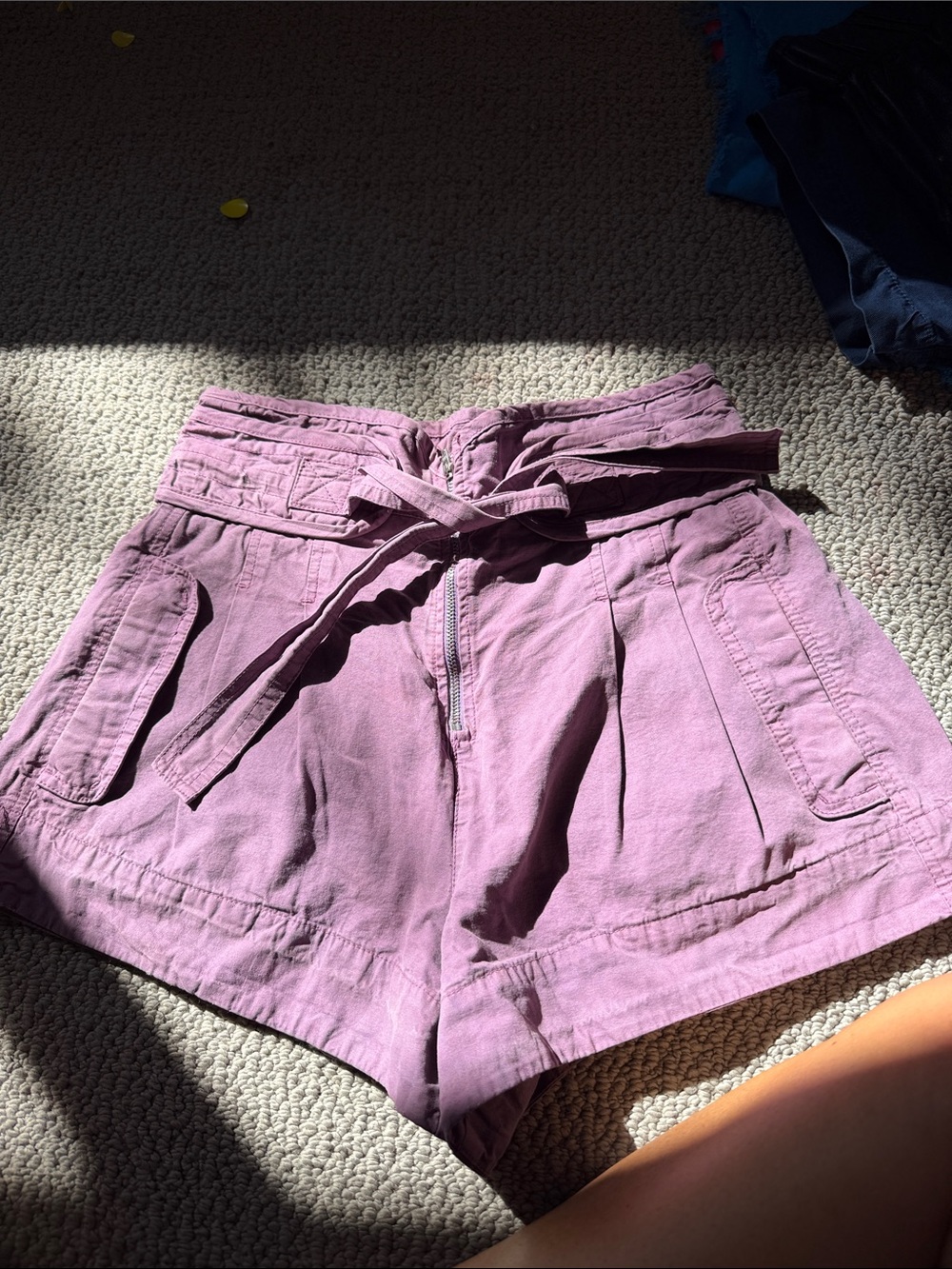 Sea New York Mauve Paperbag Waist Shorts with Tie